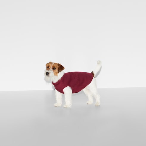 Embossed cotton pet sweatshirt Detail 4