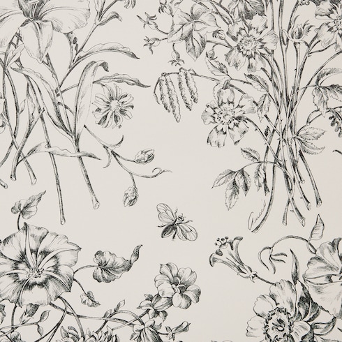 Flora Sketch print wallpaper