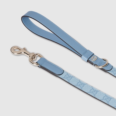 Small/medium leash