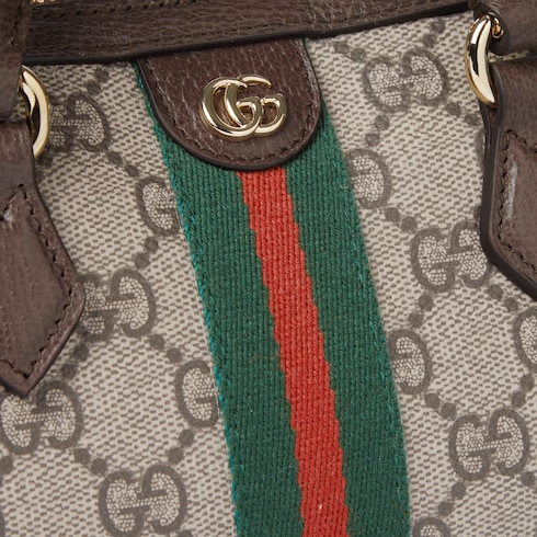 Sac Boston Ophidia mini format