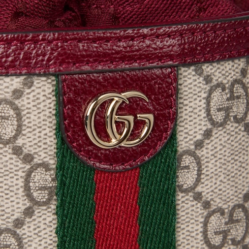 Ophidia mini bucket bag
