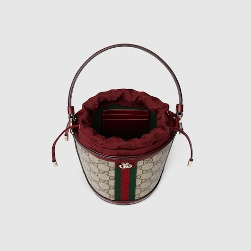Ophidia mini bucket bag
