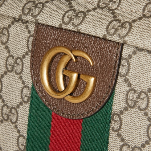 Ophidia系列中号背包