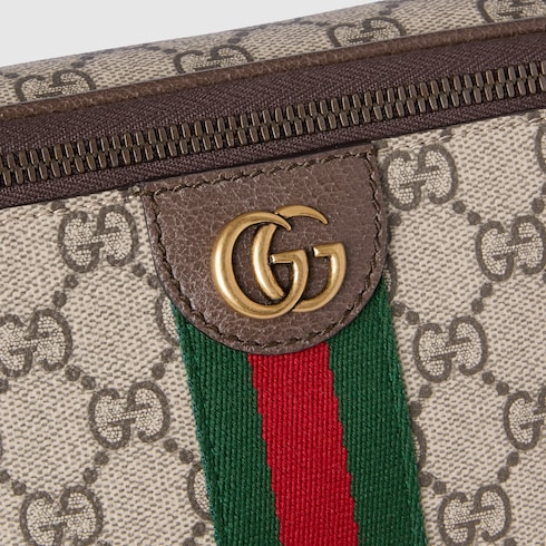 Ophidia large belt bag
