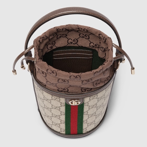 Ophidia mini bucket bag

