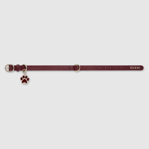 Small/medium collar
