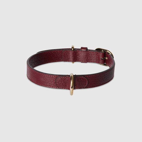 Halsband für kleine/mittelgroße Haustiere
