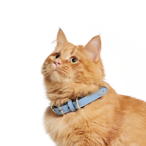 Collar pequeño/mediano