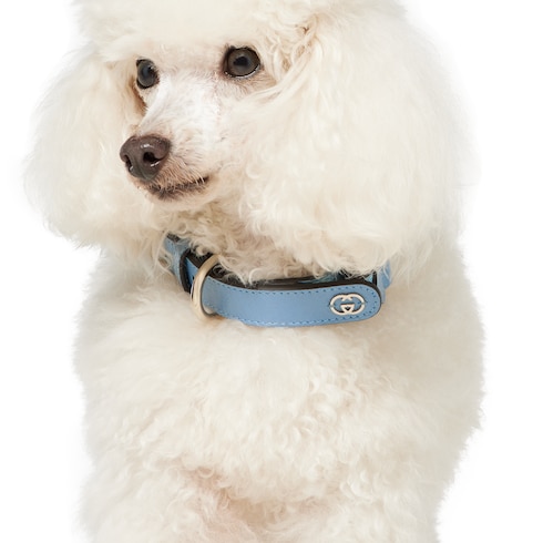 Collar pequeño/mediano