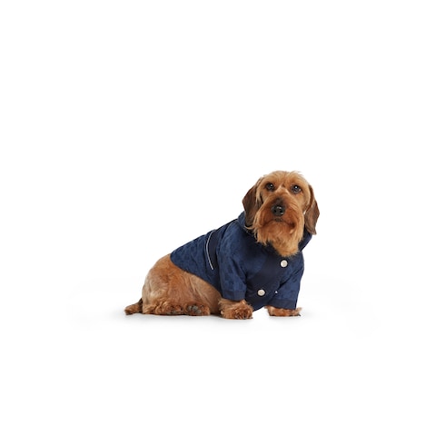 GG nylon pet rain coat