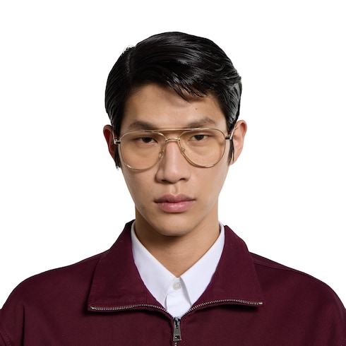 Aviator frame sunglasses
