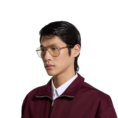 Aviator frame sunglasses