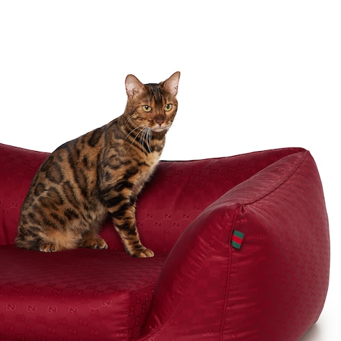 Small GG nylon pet bed Detail 9