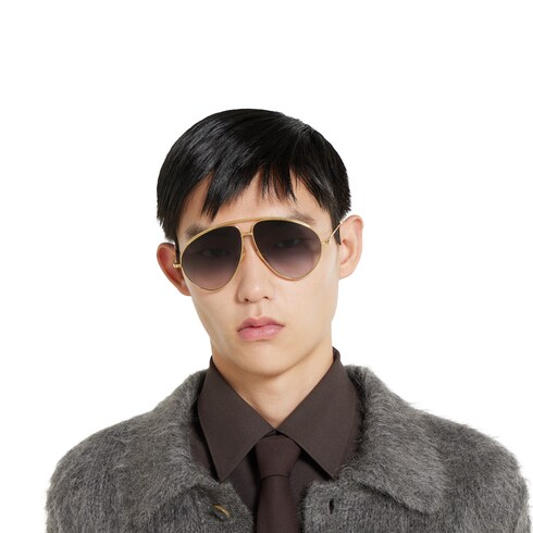 Aviator frame sunglasses