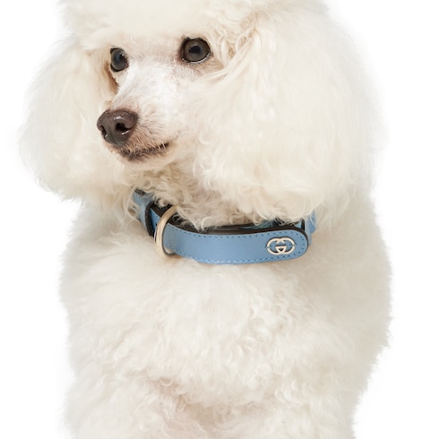 Collar pequeño/mediano