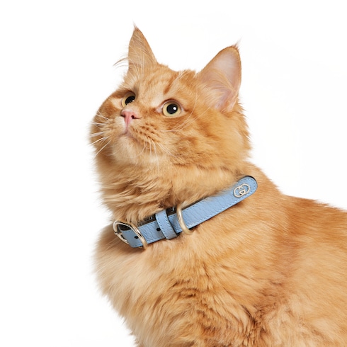 Halsband für kleine/mittelgroße Haustiere