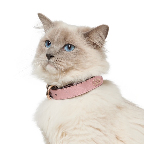 Small/medium collar