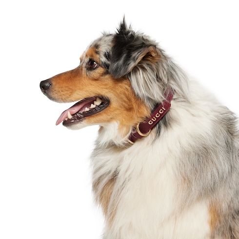 スモール/ミディアム カラー（首輪） ・グッチ ロッソ アンコーラ