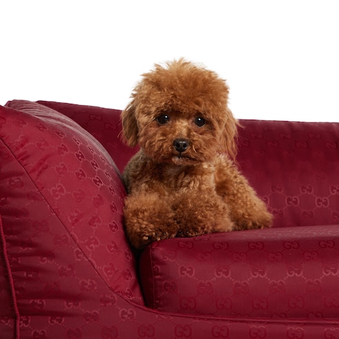 Small GG nylon pet bed