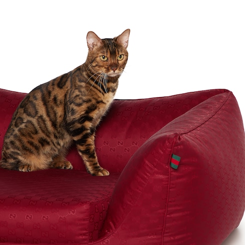 Small GG nylon pet bed