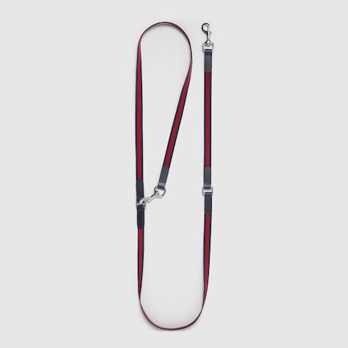 Crossbody pet leash
