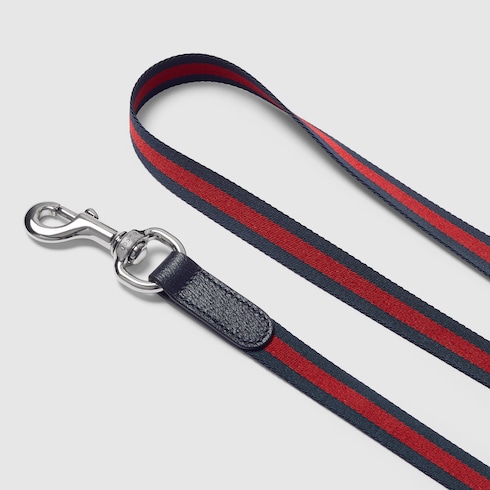 Crossbody pet leash