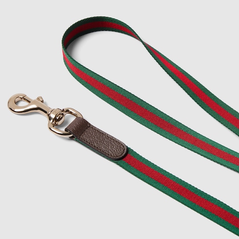 Crossbody pet leash