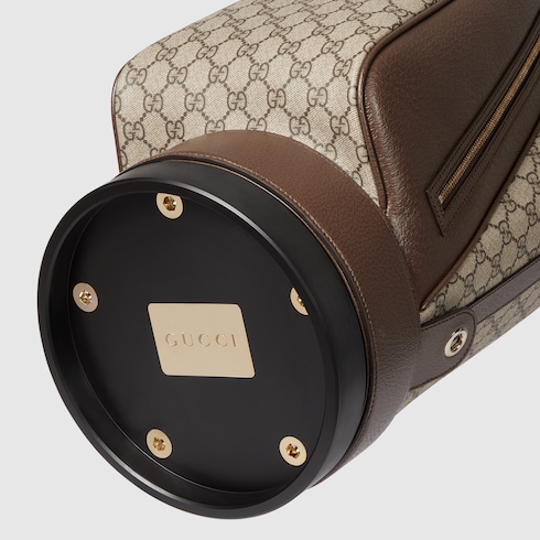 Golf bag with Web detail