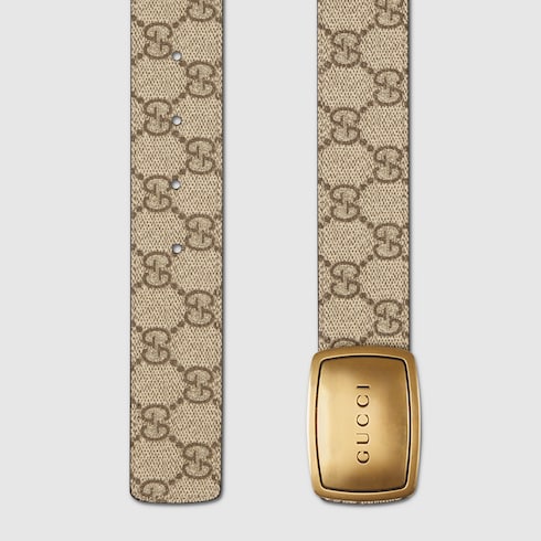 Belt with plaque buckle