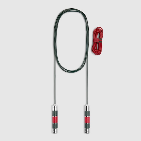 Jump rope with case