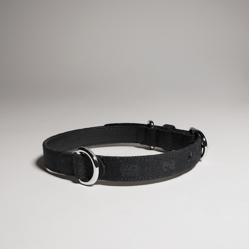 Small/medium pet collar