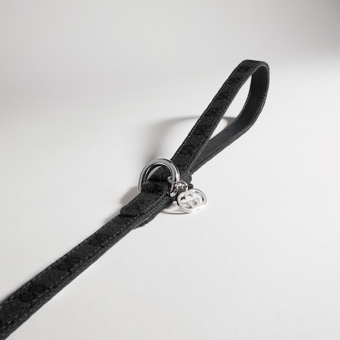 Laisse pour animal de compagnie taille XS
