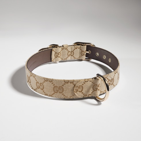 Large/extra-large pet collar