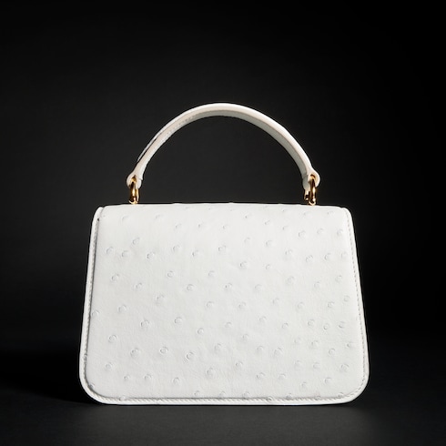 Gucci Siena ostrich small top handle bag