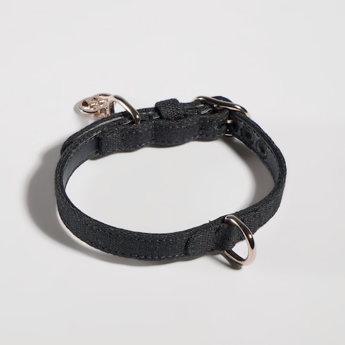Collar extrapequeño para mascotas