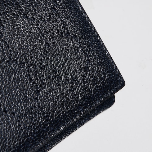 Aria card case