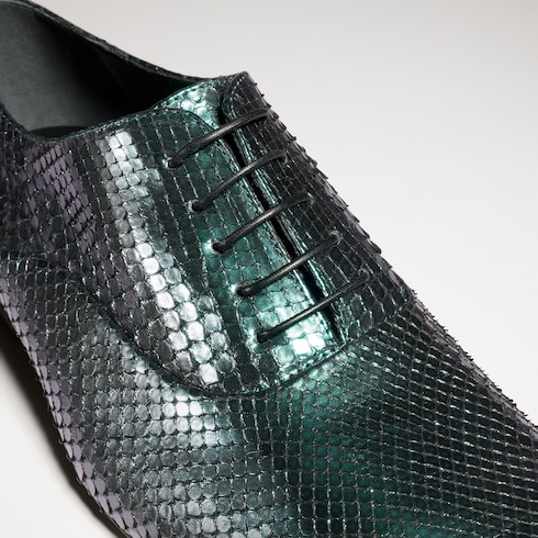 Men's python lace-up shoe