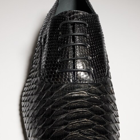 Men's python lace-up shoe