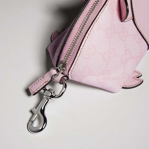 Pig-shaped coin case