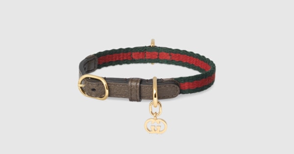 karabinerhaken hundeleine EASYLONG Hundeleine Medium  7-10 mm Kletterseil | TWIST Karabiner
