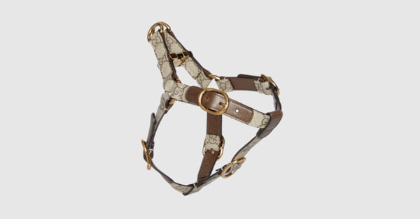Small/medium pet harness in beige and ebony canvas | GUCCI® SI