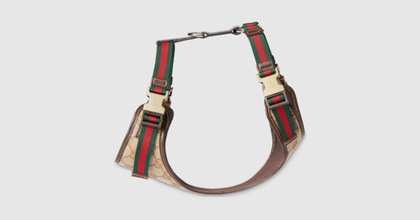 Small/medium padded pet harness in sand and brown GG canvas