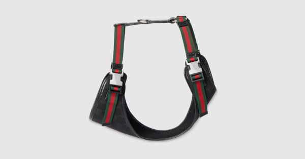 Small/medium padded pet harness in black GG canvas | GUCCI® US