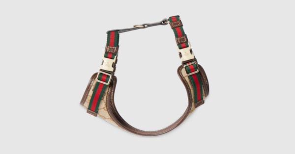 Extra-small padded pet harness in sand and brown GG canvas | GUCCI® US