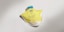 Thumbnail 0
