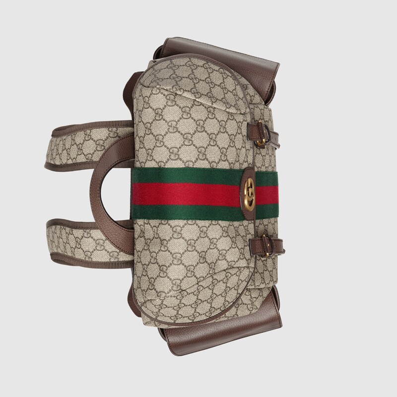 gucci ophidia medium backpack