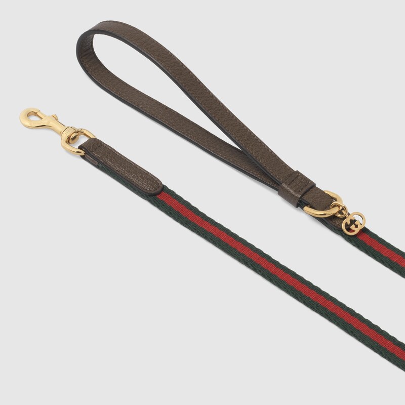 Extra-small pet leash