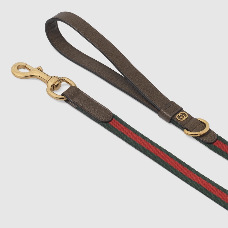 Small/medium pet leash