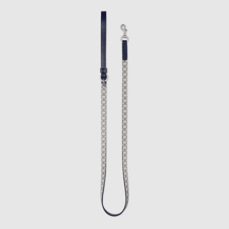 Extra-small pet leash