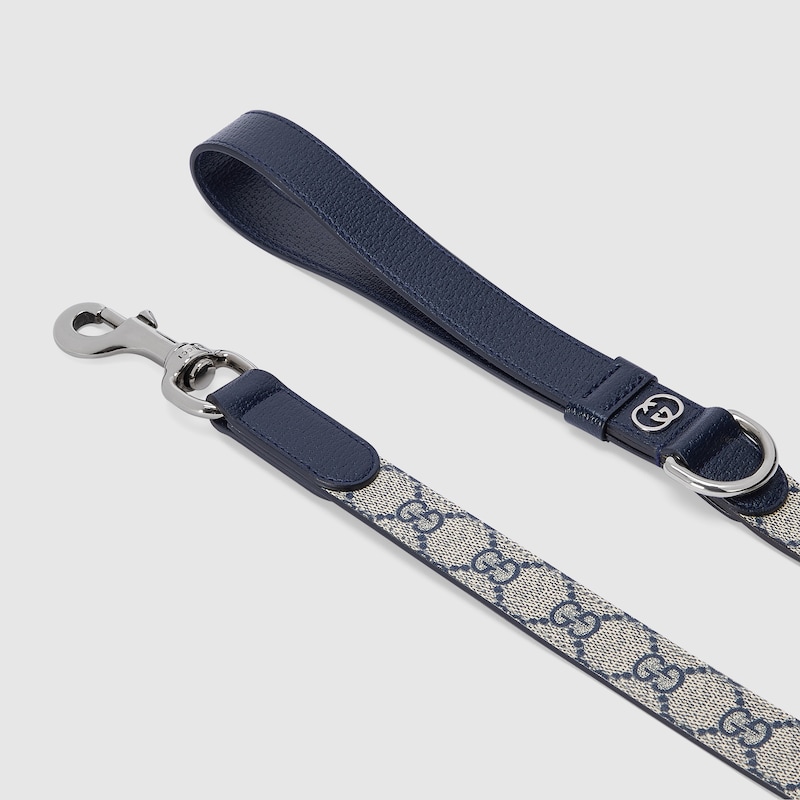 Extra-small pet leash